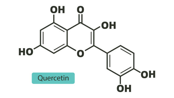 ilustrações, clipart, desenhos animados e ícones de fórmula química esquelética molecular da quercetina. - quercetin