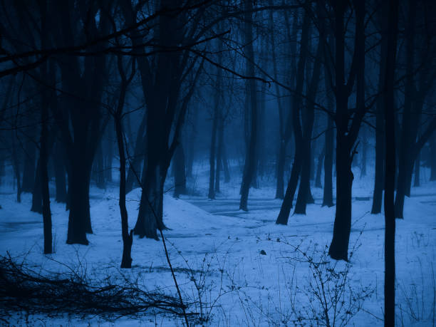 istock Evening mysterious forest with snow in the fog. 1491489655