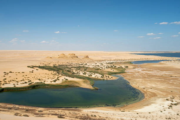 塩湖と遠く離れた砂漠の谷の風景のパノラマビュー - fayoum ストックフォトと画像