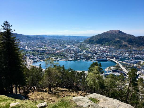 Springtime in Bergen Overlooking the Harbour from Mount Fløyen May 7th 2023, Bergen, Norway.  A short ride on the Fløibanen funicular from the harbour's edge, soon takes you to near the top of Mount Fløyen and one of the loveliest views you can imagine, especially on a spring day.  

Once there you can walk in the woods, enjoy the scenery over land, the harbour, and  out to sea, and even make a fuss of the goats resident on the mountain's paths. fløyen stock pictures, royalty-free photos & images