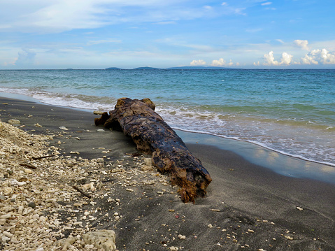 The log on the beach. The trunk of an old tree is thrown out by the waves on a sandy beach on the seashore.