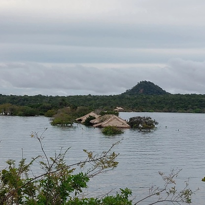 Alter do Chão-Tapajós-Amazônia-Pará-Brazil