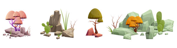 illustrations, cliparts, dessins animés et icônes de roche du désert avec des plantes de différentes couleurs illustration vectorielle isolée sur blanc - stone rock garden white pebble