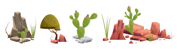 illustrations, cliparts, dessins animés et icônes de roche du désert avec des plantes de différentes couleurs illustration vectorielle isolée sur blanc - stone rock garden white pebble