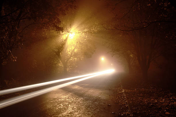 istock Long Exposure Car Light Trails - Foggy Road 149150460