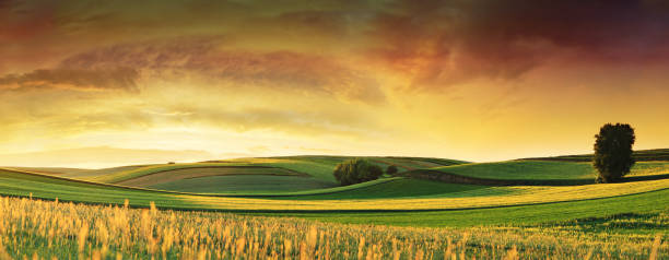 Rolling Fields - Sunset Landscape Panorama stock photo