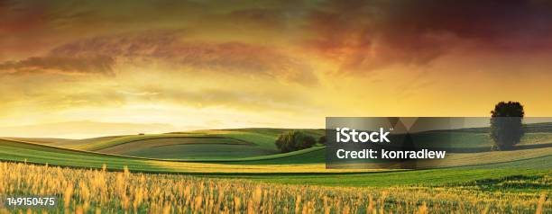 Rolling Fields Sunset Landscape Panorama Stock Photo - Download Image Now - Landscape - Scenery, Gold Colored, Wheat