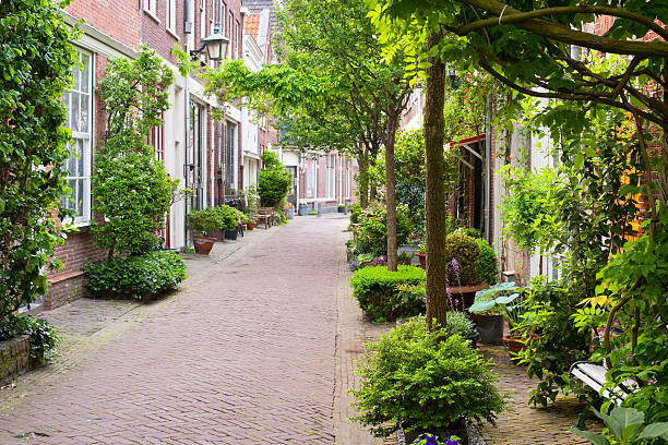 istock Small streets of Haarlem 149150669