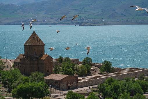 Akdamar Church, Aghtamar Church, Surp Haç Church or Holy Cross Cathedral is a church located on Akdamar Island on Lake Van, in eastern Turkey. It is surrounded by snowy mountains behind and almond trees around it.Seagulls are flying above it.Shot with a full-frame camera in daylight.