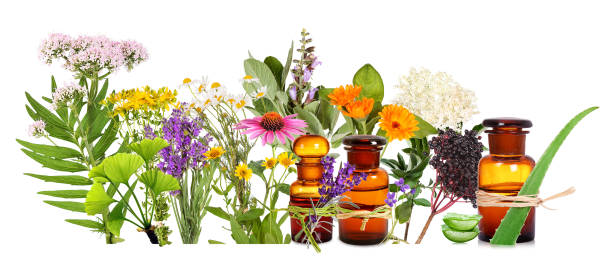 istock Different medical plants and pharmacy bottles, isolated  background 1491507600
