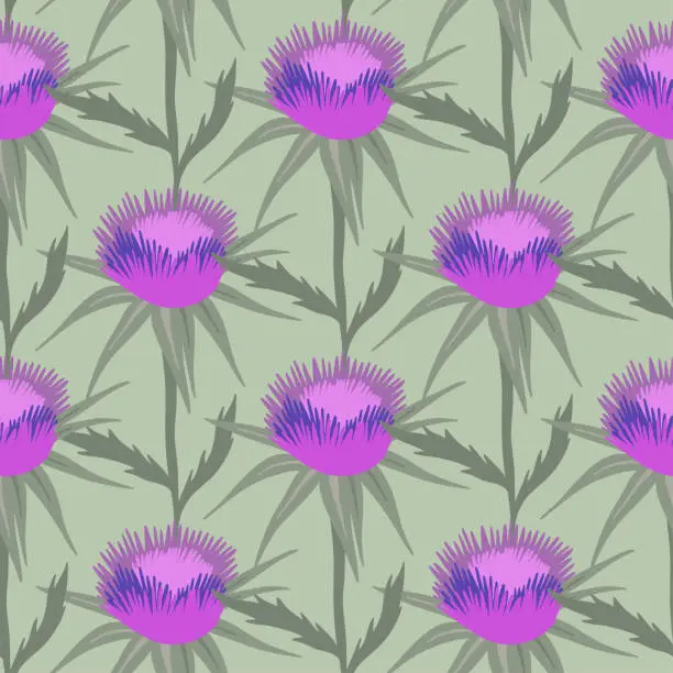 Vector illustration of Seamless pattern ws Purple flowering Milk thistle