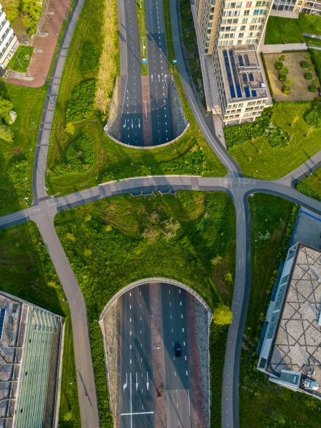 istock Green integration in the city 1491510854
