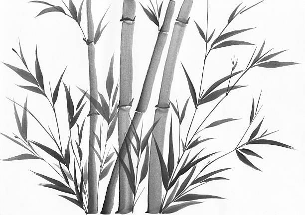 watercolor painting of bamboo vector art illustration