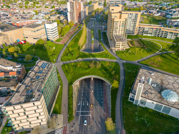 istock Green integration in the city 1491512522