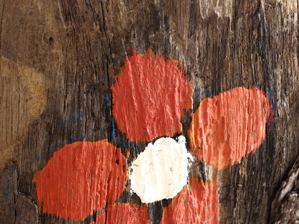 istock Painting for decorate on surface of lumber. 1491514322