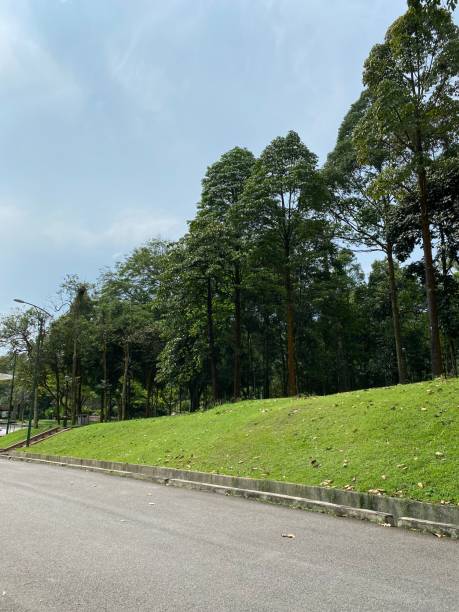 istock Perdana botanical garden, Botanical Garden in Malaysia 1491514713