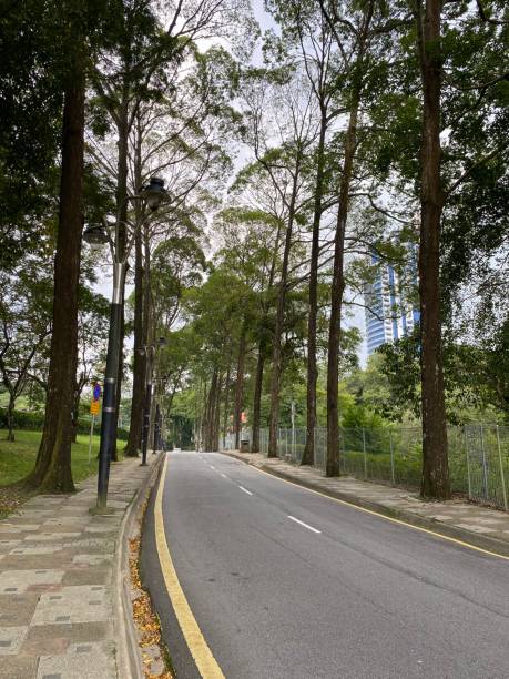 istock Perdana botanical garden, Botanical Garden in Malaysia 1491514808