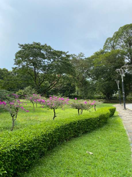 istock Perdana botanical garden, Botanical Garden in Malaysia 1491514812