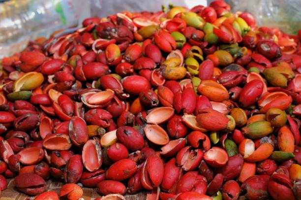 istock melinjo seed coat on a bamboo tray. 1491515166