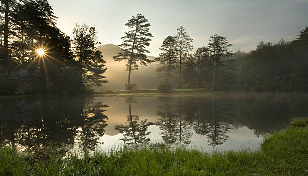 foggy sonnenaufgang im wald - golf golf course sunrise morning stock-fotos und bilder