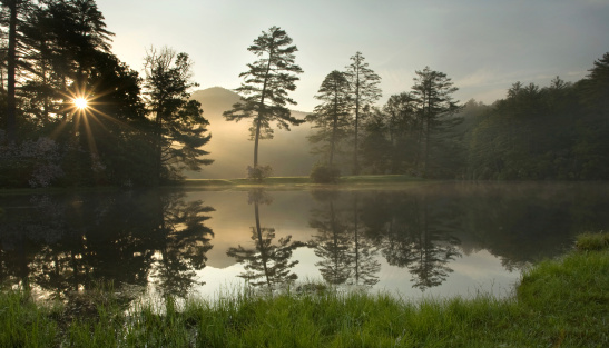 A foggy sunrise in a lush North Carolina forest, on a golf course