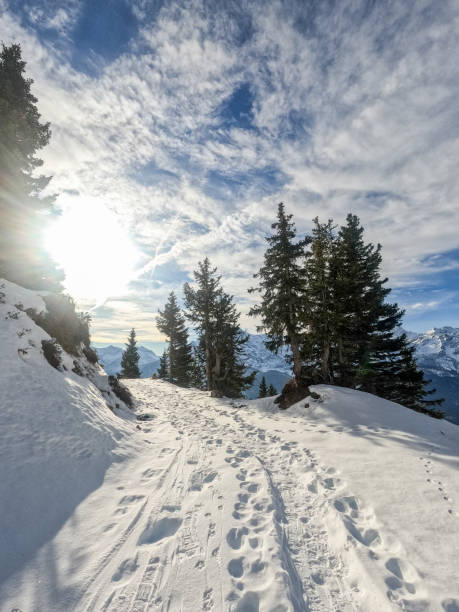 istock The Swiss Alps in winter 1491517158