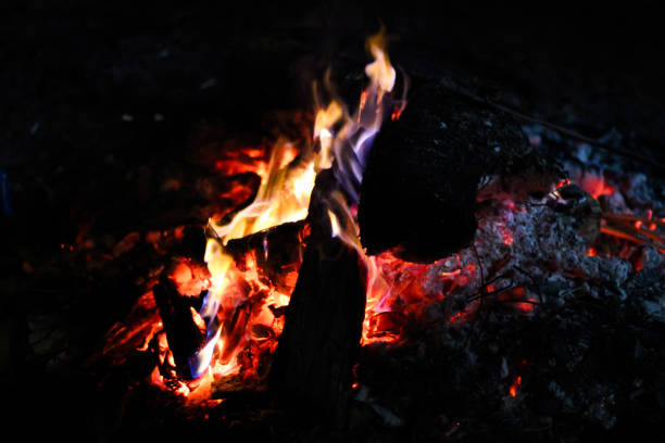 The bonfire is camping in the forest.
