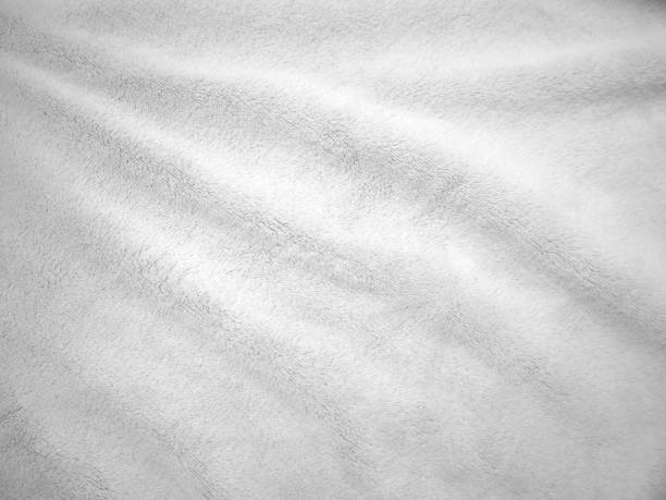 istock White clean wool texture background. light natural sheep wool. white seamless cotton. texture of fluffy fur for designers. close-up fragment white wool carpet. 1491519919