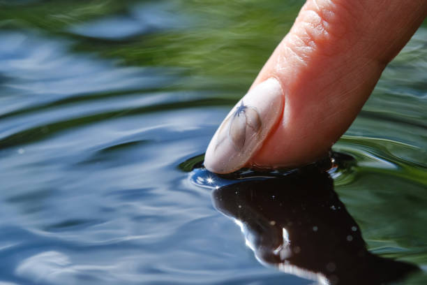 istock Woman's finger touching the surface of the water. 1491523649