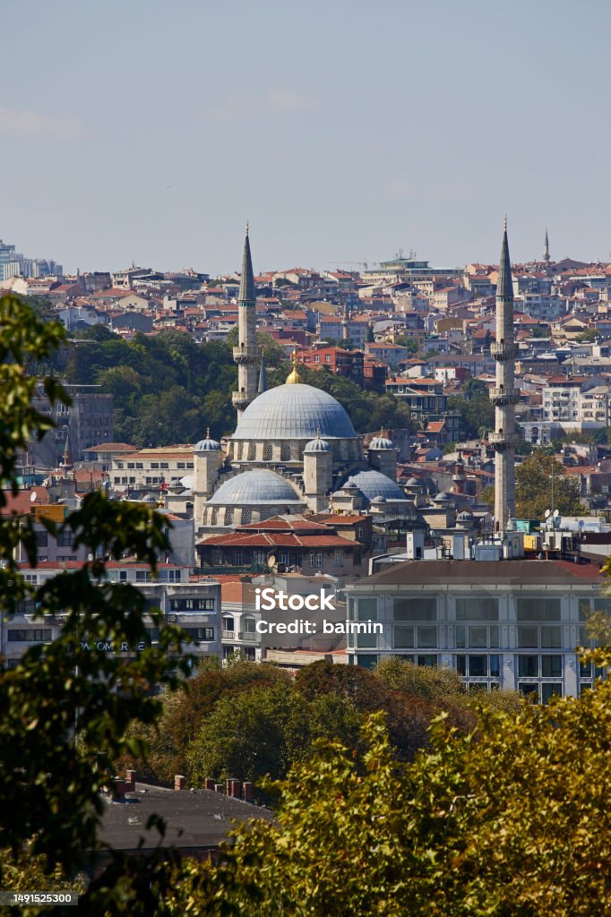 View of the New Yeni Cami Mosque against the background of Istanbul from the Topkapi Museum Architectural Dome Stock Photo