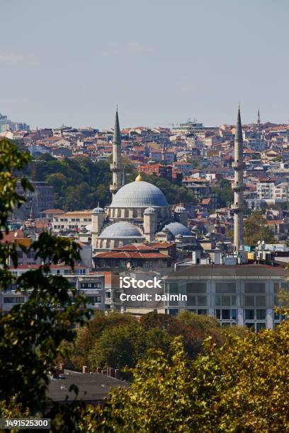 View Of The New Yeni Cami Mosque Against The Background Of Istanbul From The Topkapi Museum Stock Photo - Download Image Now