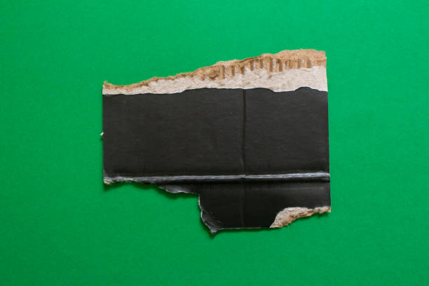 istock Ripped paper piece isolated on green background 1491532327