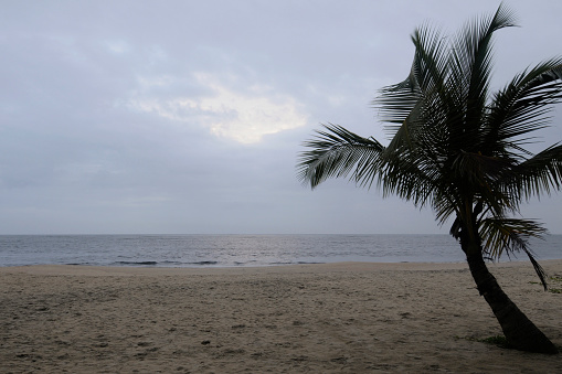 Beach side Marari, Kerala