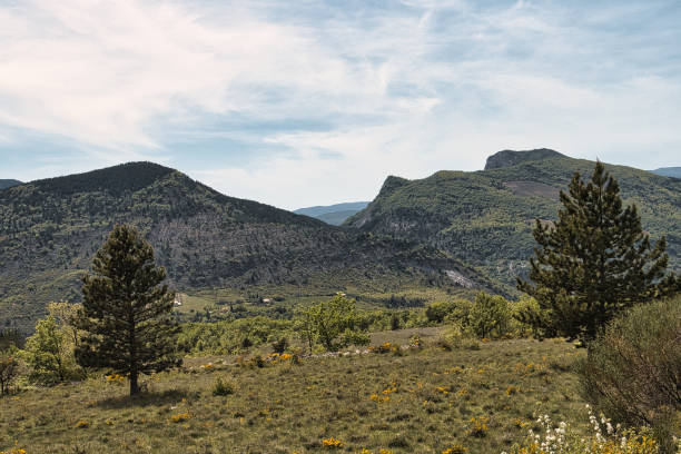 istock landscape of Provence 1491534848