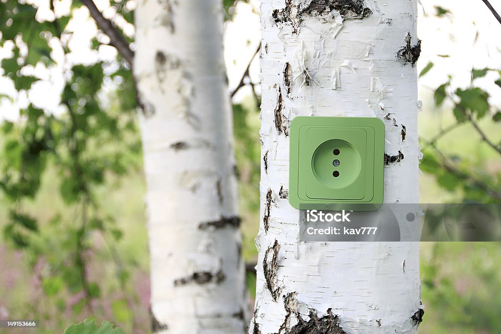 concepto de energía de eco - Foto de stock de Abedul libre de derechos