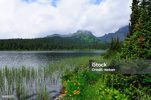 Foto de Lago De Montanha e mais fotos de stock de Azul - Azul, Beleza natural - Natureza, Cedro do Líbano