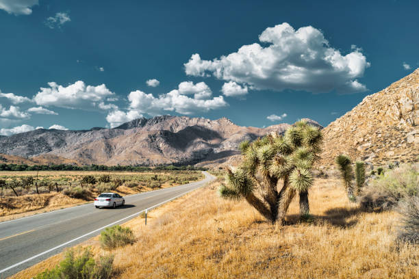 Car drives on state route 178 near Walker Pass in southern Sierra Nevada, California, USA on a sunny day.