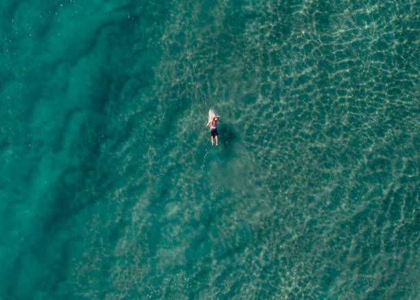 istock View of a surfer in a blue ocean 1491538375