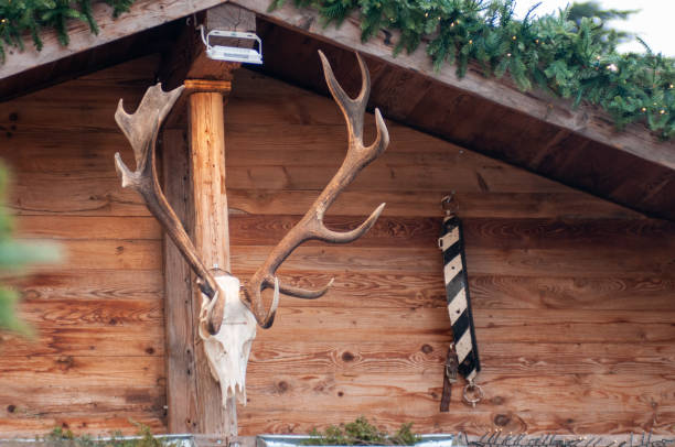 木造コテージの玄関先にぶら下がっている鹿の頭蓋骨 - antler stag trophy animal skull ストックフォトと画像