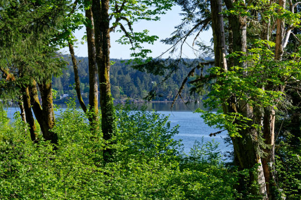 istock Fulford Harbour, Salt Spring Island, BC Canada 1491546877