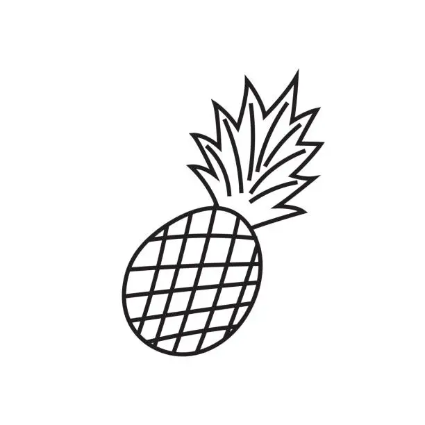 Vector illustration of Pineapple doodle hand drawn line art illustration sketch. Ananas black drawn fruit.