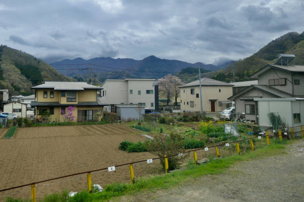 istock Garden in rural Fujikawaguchiko 1491550832
