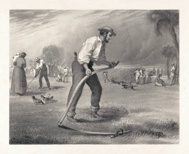 The Mower Vintage image depicts a contrast between Northern free labor and the Southern plantation system. It symbolizes a farmer resembling Lincoln mowing grass and catching snakes with a scythe, while free black farmers and enslaved individuals in the background represent the fight against injustice and critique of those advocating reconciliation with slaveholders. southern copperhead stock illustrations