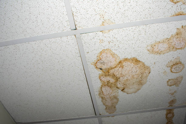 istock Photo of water damage on ceiling tile 1491552859