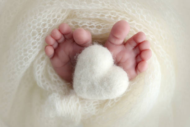 The tiny foot of a newborn baby. Soft feet of a new born in a white wool blanket. Close up of toes, heels and feet of a newborn. Knitted white heart in the legs of a baby. Macro photography corazón blanco tejido en las piernas de un bebé. fotografía macro. el pequeño pie de un bebé recién nacido. pies suaves de un recién nacido en una manta de lana blanca. primer plano de los dedos de los pies, talones y pies de un recién nacido.