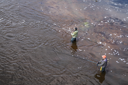Kuldiga, Latvia - April 10, 2023: Three fishermen catch fish in the river Venta. View from the bridge