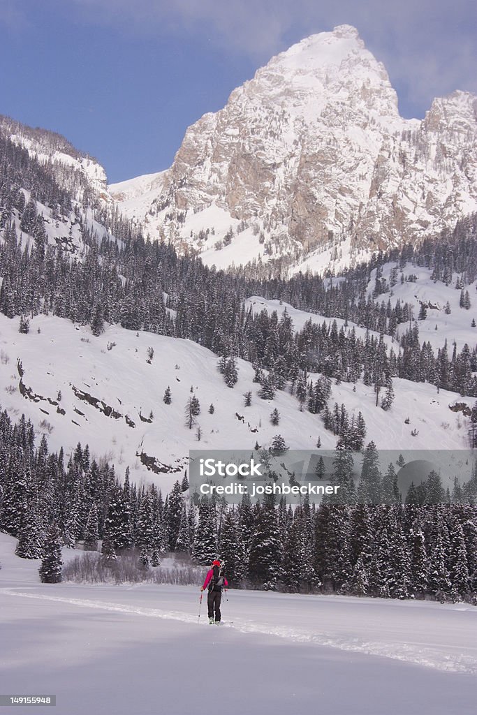 Sci di Backcountry a Wyoming - Foto stock royalty-free di Jackson Hole