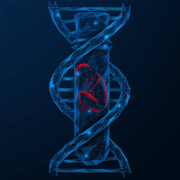 istock Flask with a human embryo in the center of a DNA spiral. 1491561986