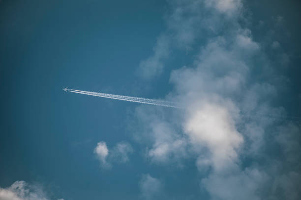 istock Blue sky with clouds from which a commercial airplane appears 1491563776