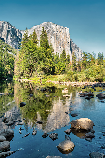 El Capitan reflecting in the Merced River in Yosemite Valley, California, USA on a sunny day.